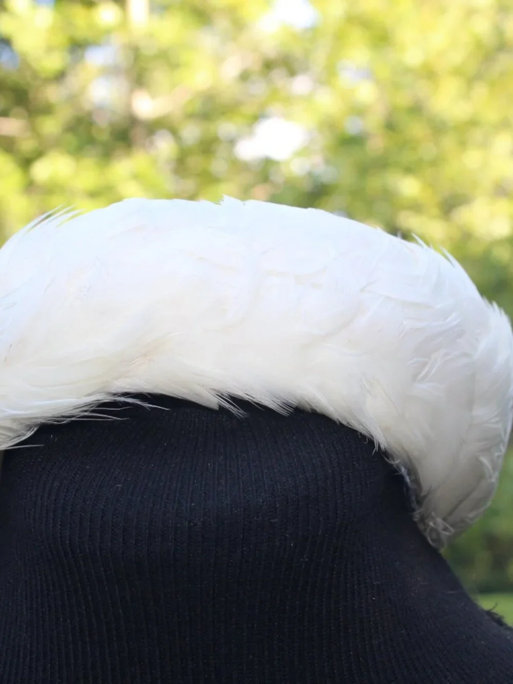 Monticello Model decorative feather